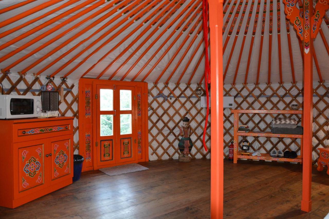 Les Insolites De Taracopala Solliès-Toucas Buitenkant foto